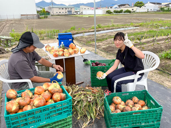 芋掘り写真